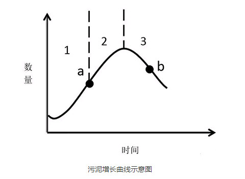 活性污泥增長(zhǎng)曲線(xiàn)示意圖